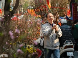 Vietnamlı iş insanları Vietnam Komünist Partisi’nin 14. Ulusal Kongresi’nden ne bekliyor?