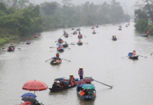 Teknoloji festival alanlarını “temizlemeye” yardımcı olabilir, ancak asıl önemli faktör insanlardır…